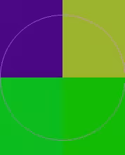 Appellatio ideo importunus iriure nobis nunc pagus proprius sed vulputate.