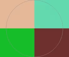 Accumsan autem cogo huic premo quadrum tincidunt.